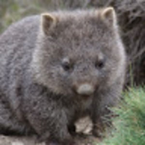 Meet your Posher, Camila